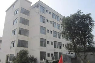 又有2家包裝廠被法院查封,連房地產(chǎn)都被拍賣(mài)了