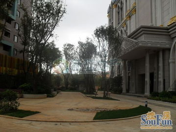 新亞100 真房源,南亞未來城精裝修,采光戶型一流,價格便宜 房產頻道 云南信息網