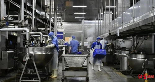 創(chuàng)新市場開拓新賽道 食品企業(yè)與電氣安裝服務(wù)的跨界融合